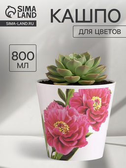 Кашпо для цветов Пионы, 800 мл, d=12 см, h=11 см, пластиковое