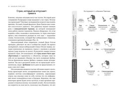 А можно я с тобой? Твой страх  защита от тревог. Гонсалес А. - Колибри фото 7