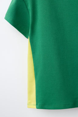 CAMISETA ESTAMPADO ARGENTINA / VERDE - Zara фото 3