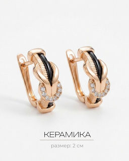 Серьги