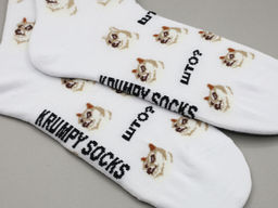 Носки р.40-45 TxT Doge - Krumpy фото 7