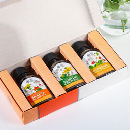 Набор безалкогольных бальзамов Крепкий иммунитет на травах горного Алтая, в пластиковой бутылке, 3 шт х110 мл. - Simaland фото 3