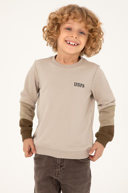 Толстовка с камнем для мальчика Неожиданная скидка в корзине