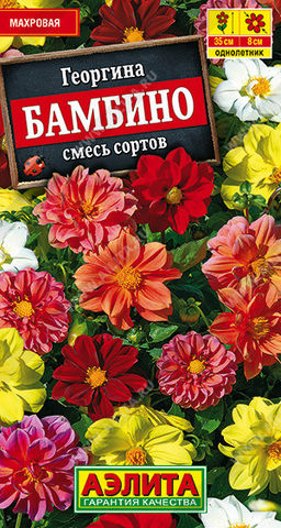 1389A Георгина махровая Бамбино, смесь сортов 7шт