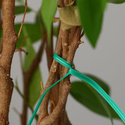 Цена за 2 шт. Проволока подвязочная, 10 см, в наборе 100 шт., зелёная, Greengo  фото 7