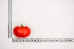 Томат Деревенский - Партнер фото 5