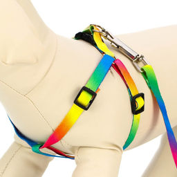 Комплект Радуга, капрон, поводок 120 х 1 см, ОГ 24-34 см, разноцветный - Пижон фото 3