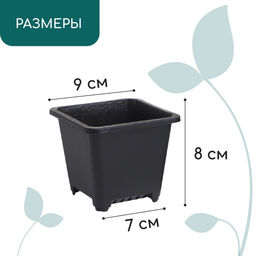 Цена за 20 шт. Горшок для рассады, 250 мл, 9×9×8 см, пластик, чёрный, Greengo