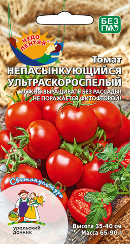 Томат НЕПАСЫНКУЮЩИЙСЯ УЛЬТРАСКОРОСПЕЛЫЙ  Можно выращивать без рассады! Не поражается фитофторой!