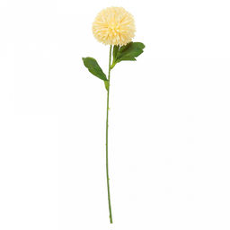 Цветок "Астра" цвет - персиковый, 52см, 1 цветок - д10х5см (Китай)