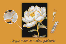 ФРЕЯ PNB/PMB-307 Набор для раскрашивания по номерам ( эффект черного холста ) ( с краской-металлик ) 40 х 30 см Золотой пион