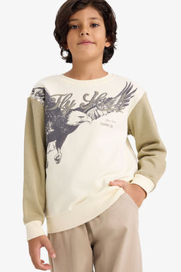 Bisiklet Yaka Bask_l_ __i Yumu_ak T_yl_ Sweatshirt Erkek _ocuk