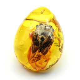 Кулон из янтаря искусственного капля 43*55мм жук Цикада, цв.медовый