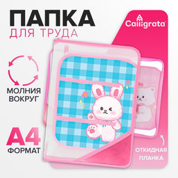 Папка для труда, А4, пластиковая, 23×32.5×2.5 см «Аниме»