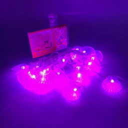 Гирлянда Ракушки 5 м 20 LED (арт. HZ) - Ип лебедев о.ю фото 4