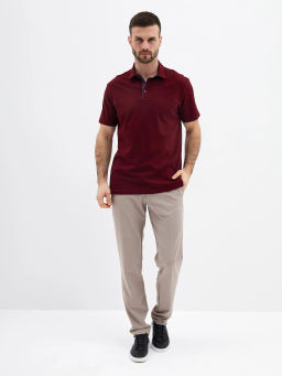 Джемпер мужской с воротником поло короткий рукав GREG G144-PO1246T-SAS2081(бордо)  фото 3