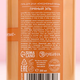 Гель для душа, 300 мл, аромат пряный эль, Чистое счастье