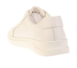 Дерби Baden VE320-071