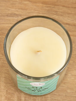 Свеча с кристаллом внутри Sea and Summer Citronella, 120 г, соевый воск, цитронелла