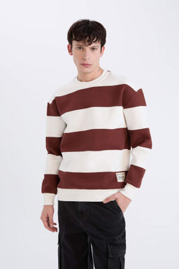 Boxy Fit Bisiklet Yaka Cizgili Sweatshirt - Defacto фото 7