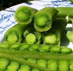 Снеп Горох — Snap Peas
