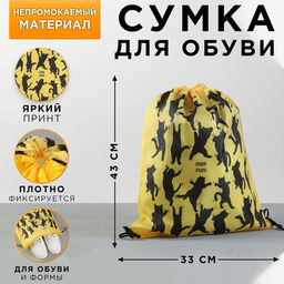 Сумка для обуви Purr,болоньевая, размер 43х33х0,5 см