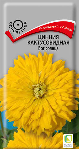 Цинния кактусовидная Бог солнца (ЦВ) (1) 0,4гр. - Поиск фото 2