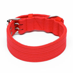 Ошейник четырехслойный, 64 х 4 см, ОШ 50-58 см, полиэстер, красный - Пижон фото 2