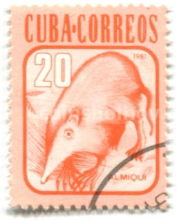 Марка Кубинский соленодон 1981 год Бразилия