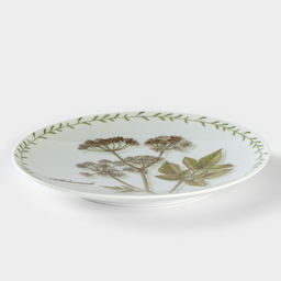 Тарелка фарфоровая «Ботаника. Сныть», d=20 см
