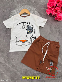 Летний костюм двойка для мальчика