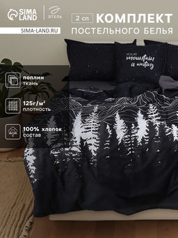 Комплект постельного белья Этель 2 сп Полярная ночь 175?215 см, 200?220 см, 50?70 см-2 шт., поплин 125 г/м?, хлопок 100%  фото 2