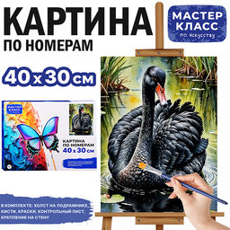 Картина по номерам MKR4030-156 "Черный лебедь" 40х30 см.