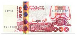 Банкнота 1000 динар 1998 года Алжир