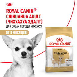 RC Для собак-взрослого Чихуахуа: с 8мес. (Chihuahua 28) 22100300R1