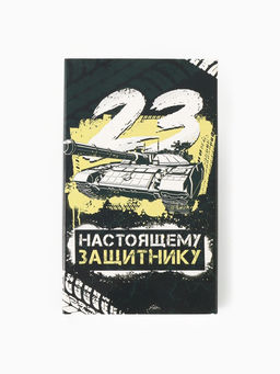 Носки мужские 23 февраля, набор 2 пары, размер 41-44 (27-29 см)