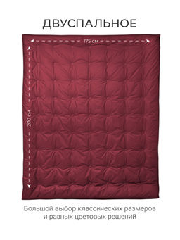 Одеяло Cloud Wine 175х200 теплое 300г/м2 ЕС-5827 - Espera фото 8