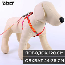 Комплект Дикий и пушистый, шлейка 24-36 см, поводок 120х1 см