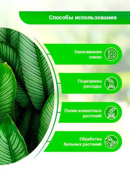 БИО-комплекс Суспензия Хлореллы Концентрат ( 500 мл)  фото 4