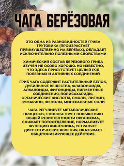 Медовые драже ЧАГА БЕРЕЗОВАЯ, 90 гр