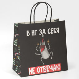 Пакет подарочный Вообще не отвечаю, 22 22 11 см