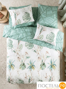 КПБ Estia ТРОПИКАНА  фото 6