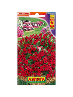 Набор семян Петуния «Джоконда», F1, пурпурная, драже в пробирке, 4 шт., «Мой выбор»