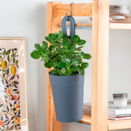 Горшок для цветов Tarragon подвесной d120мм, 1,3 л арт. Р2216166, Р2231044