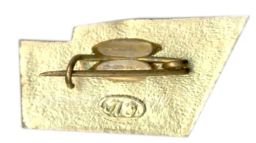 Значок Разлив