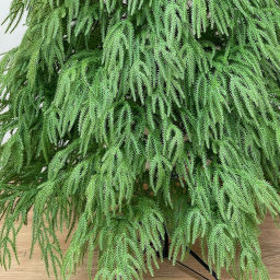 Ёлка 210 см "Хвойные лапки" резина (672 ветки)