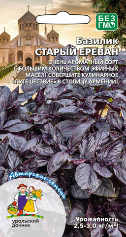 Базилик СТАРЫЙ ЕРЕВАН Очень ароматный сорт с большим количеством эфирных масел! Совершите кулинарное путешествие в столицу Армении!