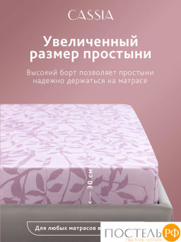 Простыня на резинке CASSIA АЛЬТАН хлопок-сатин  фото 7