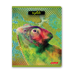 Светоч 80ТСК5_8_2_1 Тетрадь ученическая общая, твин лак, A5 80 л. на скобе 65 г/кв.м , белизна 100 % 5 шт. клетка 000487 Рептилии  фото 8