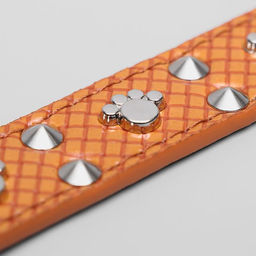 Ошейник рифленый Путешественник, 52,5 х 2,5 см, микс цветов - Пижон фото 5